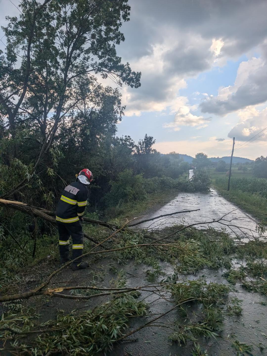 Furtuna a făcut primele probleme în județul Arad. Pompierii au intervenit pentru degajarea arborilor căzuți