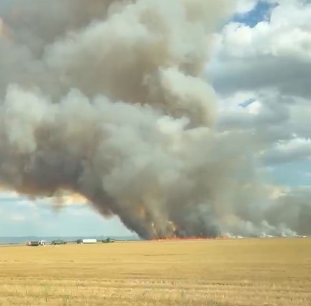 Incendiu puternic la un lan de grâu, în apropierea Domeniilor Lupaș. Flăcările au cuprins și o combină-video