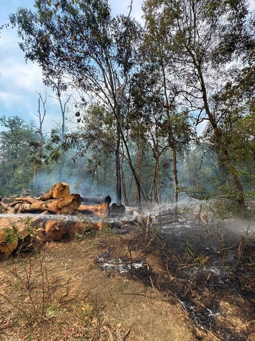 Incendiu de vegetație uscată între Fântânele și Frumușeni. Un hectar de litieră de pădure și material lemnos au fost afectate